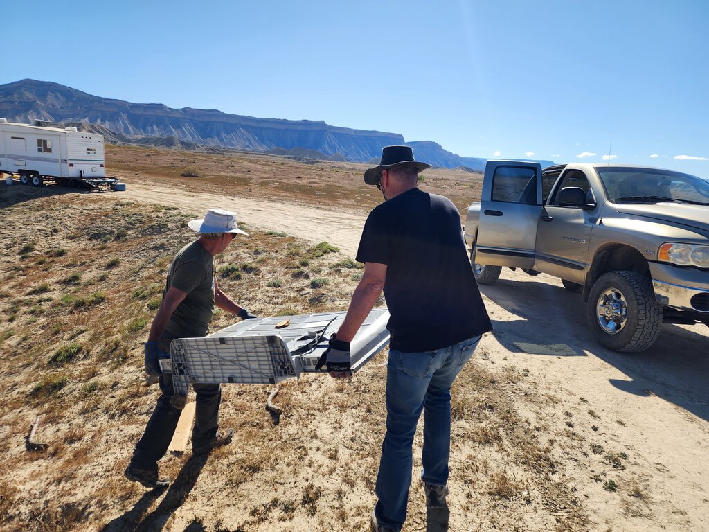 Fall Desert Cleanup