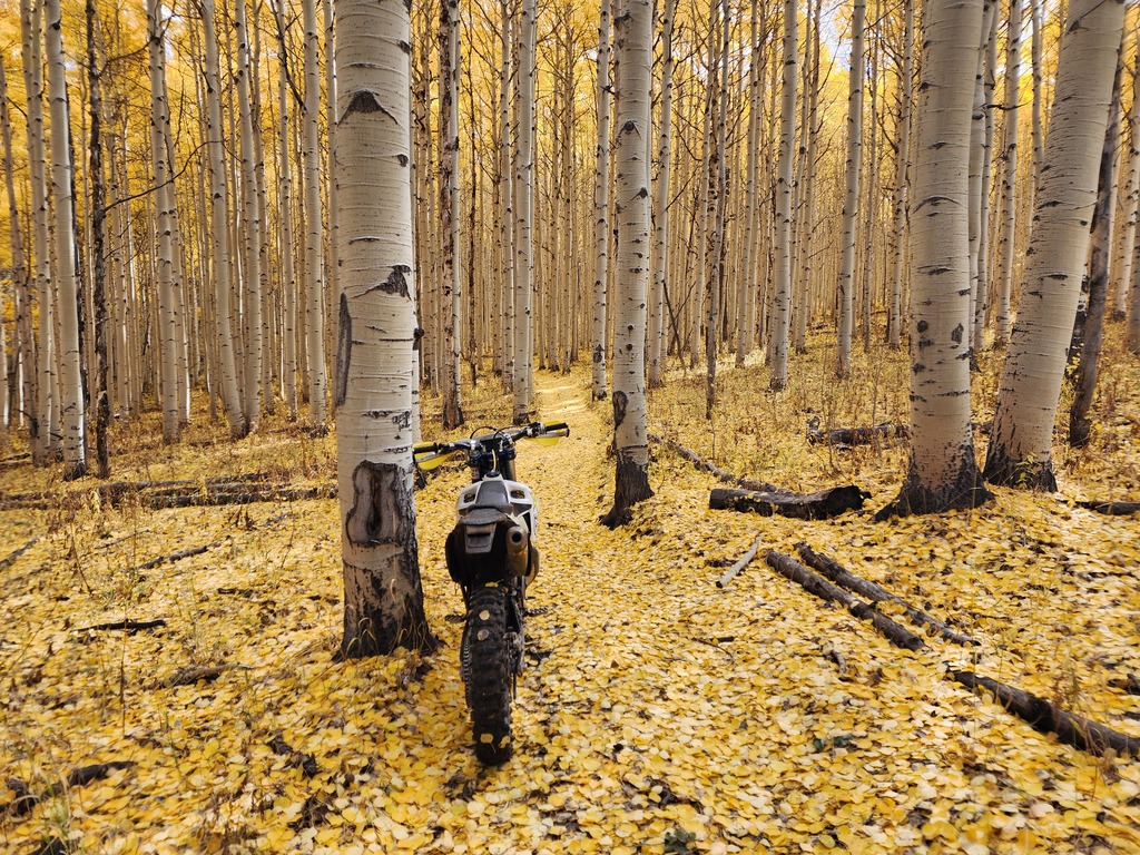Grand Mesa Ride