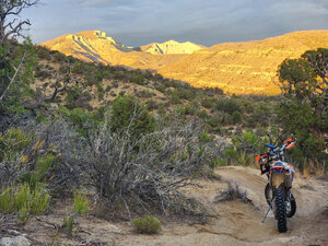 Sarlacc Night Ride