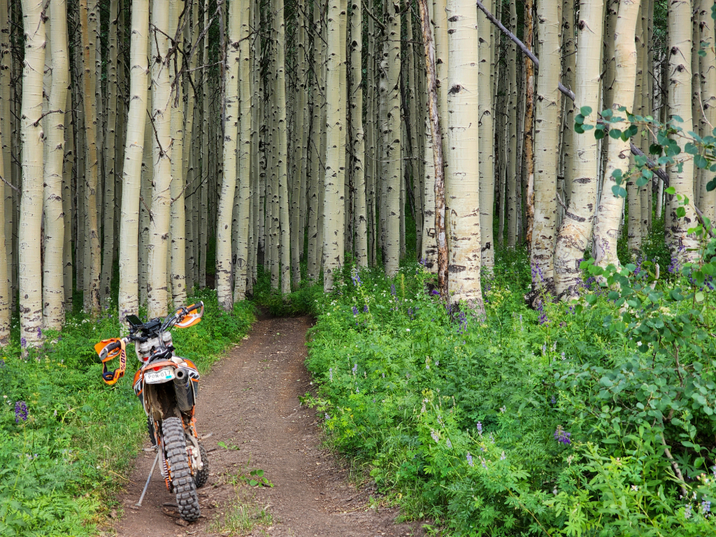 Grand Mesa Ride