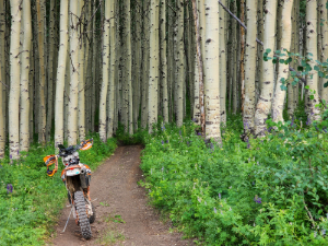 Grand Mesa Ride